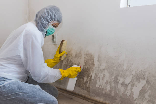Best Crawl Space Mold Removal  in Patrick Af, FL