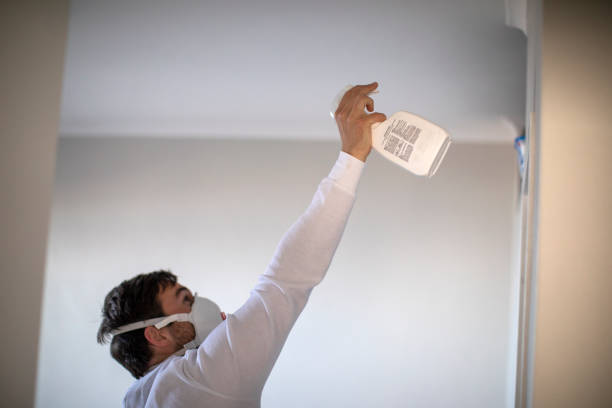 Best Mold Testing  in Patrick Af, FL