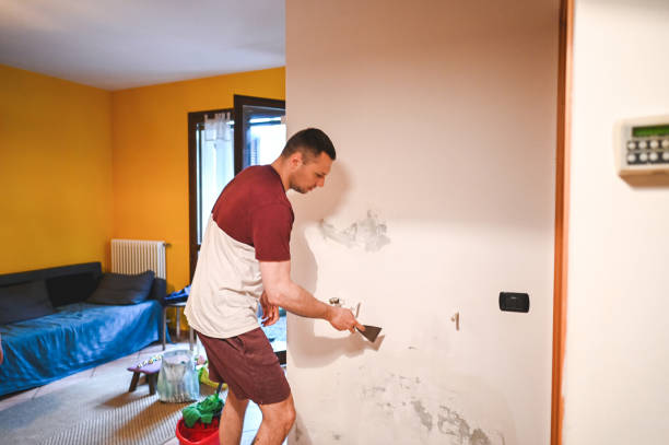 Best Mold Removal Near Me  in Patrick Af, FL