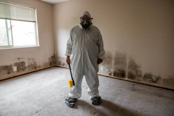 Best Attic Mold Removal  in Patrick Af, FL